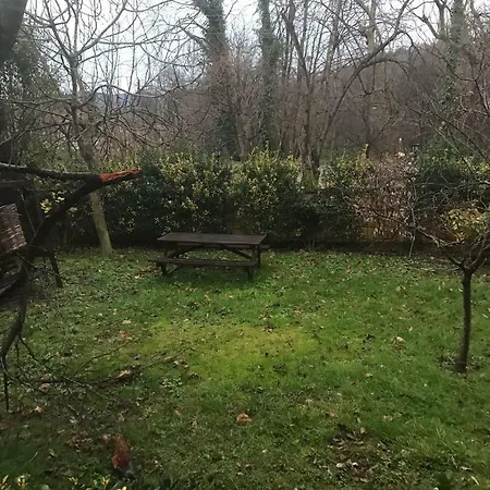 Huzur * Sapanca